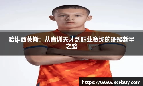 小鸟综合体育官方网站