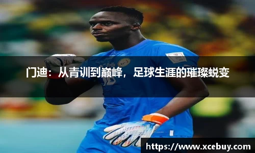 小鸟综合体育官方网站